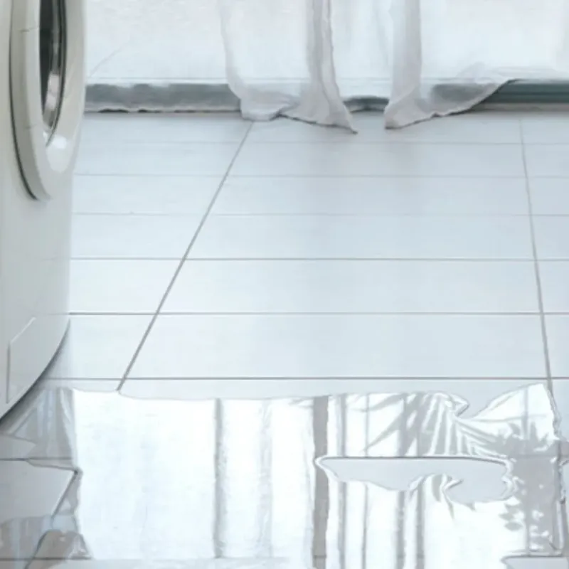 Appliance Leak Cleanup in North Collins, NY