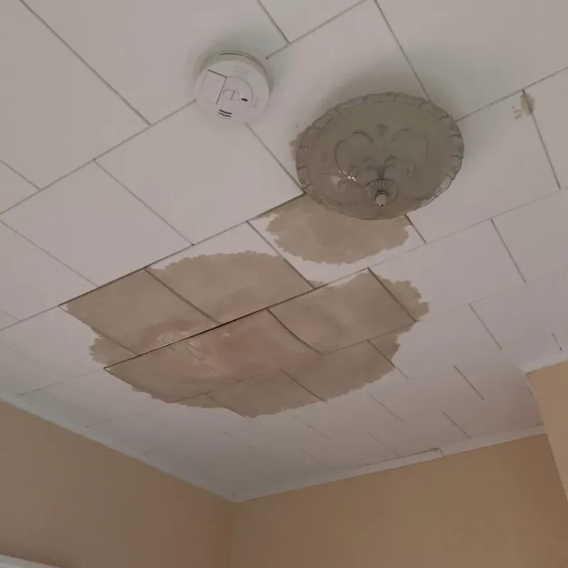 Ceiling Water Damage Repair in North Collins, NY