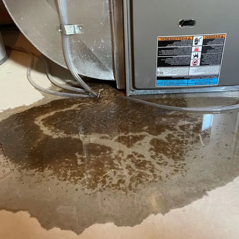 Pipe Burst and Leak Restoration in North Collins, NY